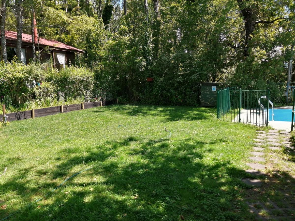 Los Gualles De La Candelaria Apart Hotel Pucon Ngoại thất bức ảnh