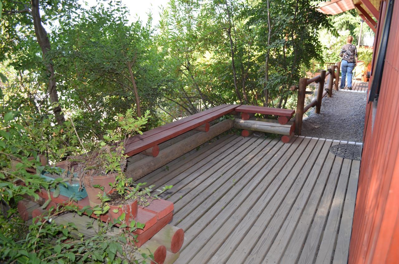 Los Gualles De La Candelaria Apart Hotel Pucon Ngoại thất bức ảnh